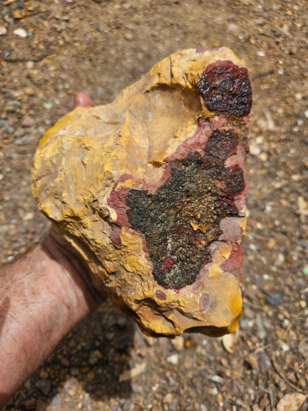 Mookaite rough.  MKR 292