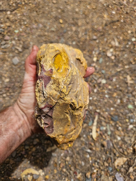 Mookaite rough.  MKR 292