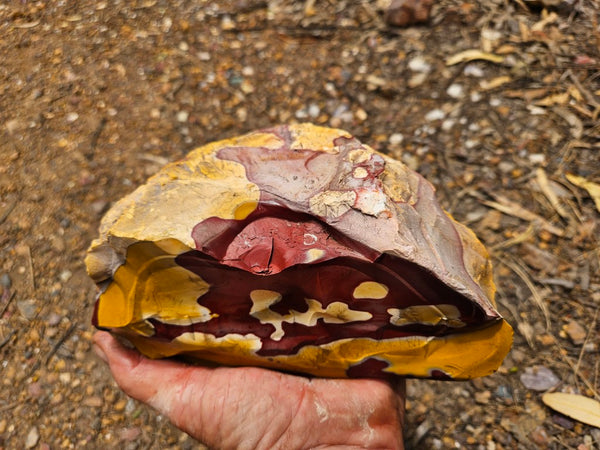 Mookaite rough.  MKR 292