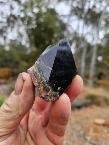 Wyloo Amethyst crystal . AM148