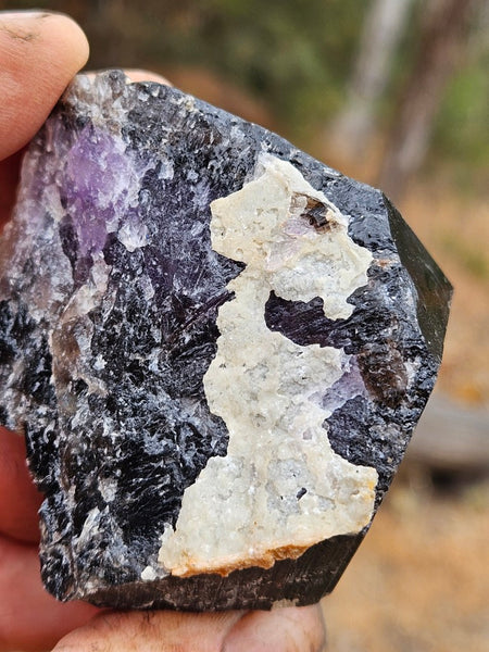 Wyloo Amethyst crystal . AM148