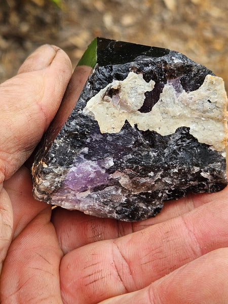 Wyloo Amethyst crystal . AM148