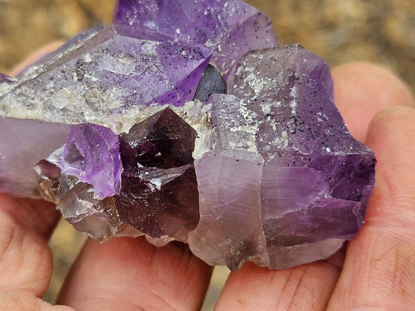 Wyloo Amethyst crystal cluster . AM151