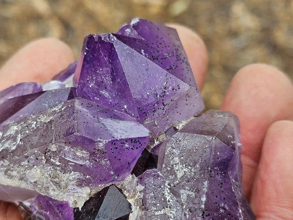 Wyloo Amethyst crystal cluster . AM151