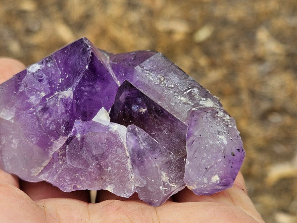 Wyloo Amethyst crystal cluster . AM151