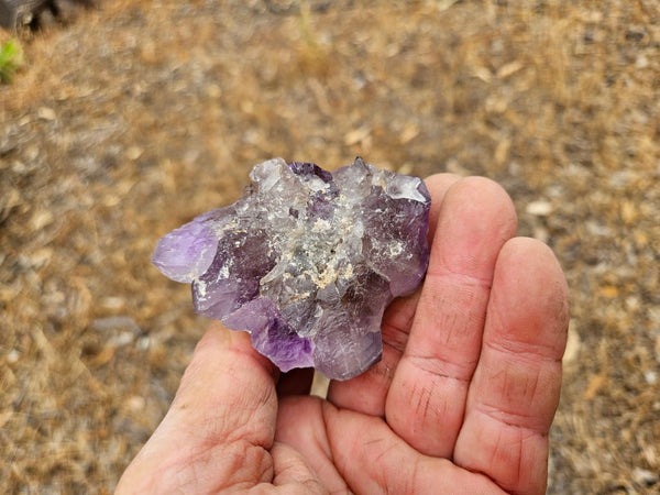 Wyloo Amethyst crystal cluster . AM151