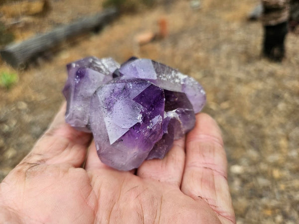 Wyloo Amethyst crystal cluster . AM151