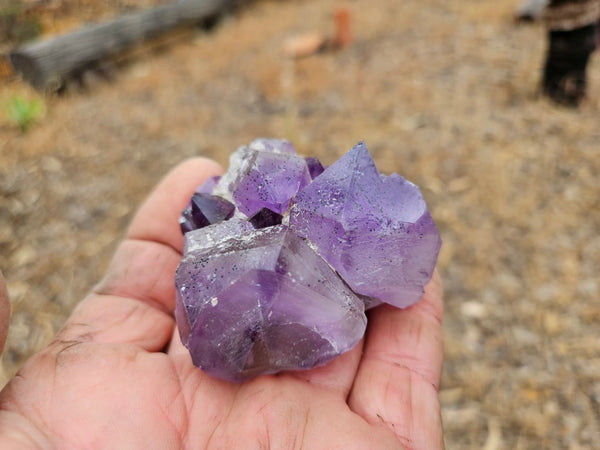 Wyloo Amethyst crystal cluster . AM151