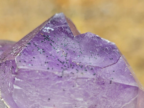 Wyloo Amethyst crystal cluster . AM151