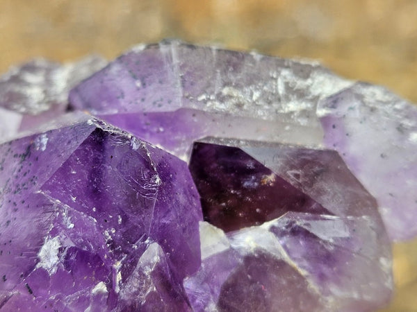 Wyloo Amethyst crystal cluster . AM151