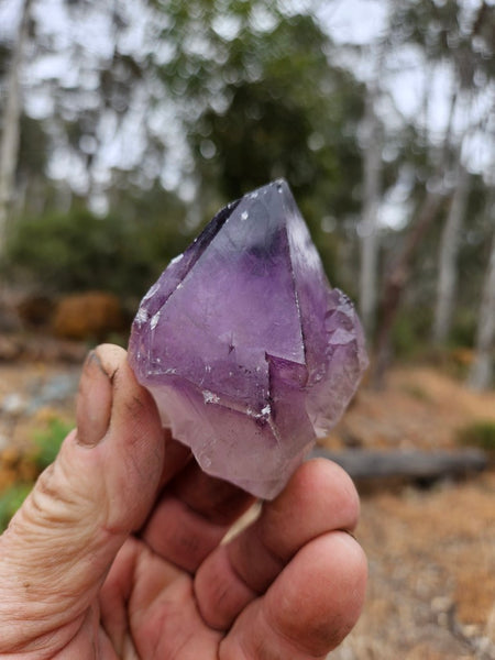 Wyloo Amethyst crystal . AM150