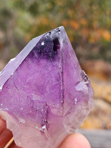 Wyloo Amethyst crystal . AM150