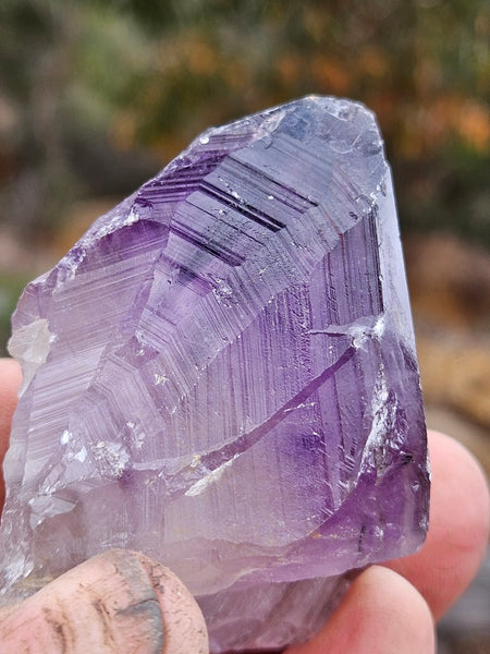 Wyloo Amethyst crystal . AM150