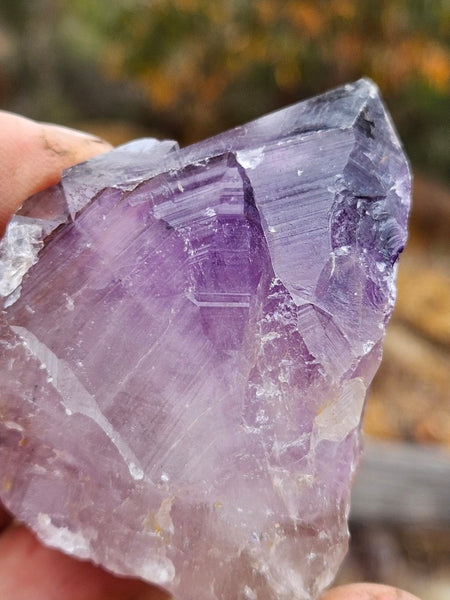 Wyloo Amethyst crystal . AM150