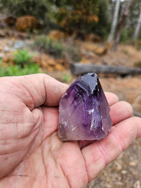 Wyloo Amethyst crystal . AM150