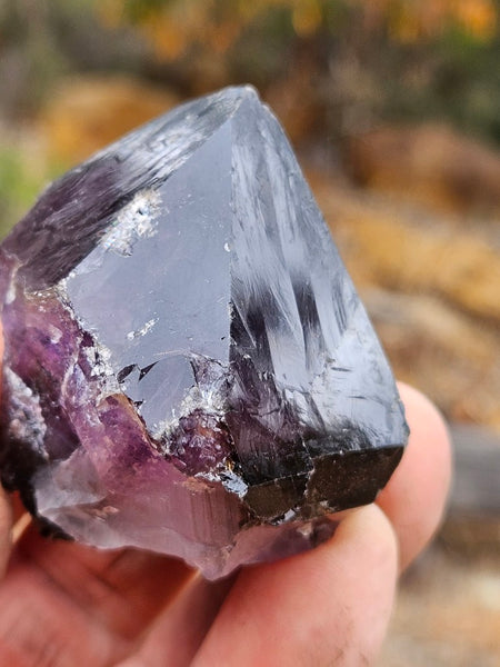 Wyloo Amethyst crystal . AM149