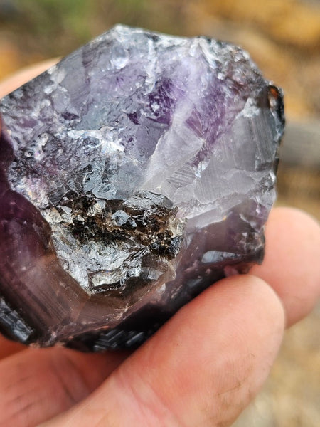 Wyloo Amethyst crystal . AM149