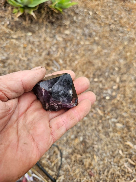 Wyloo Amethyst crystal . AM149