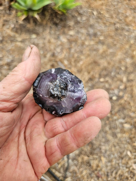 Wyloo Amethyst crystal . AM149