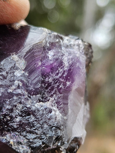 Wyloo Amethyst crystal . AM149