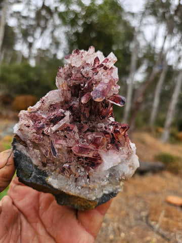 West Australian Quartz crystal cluster. XL118