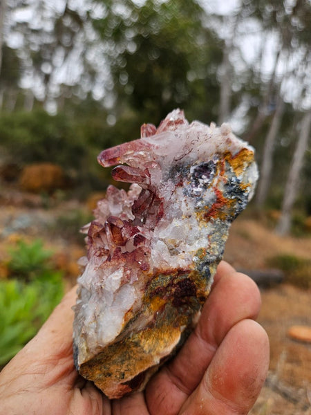 West Australian Quartz crystal cluster. XL118