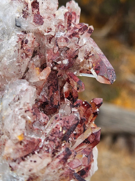 West Australian Quartz crystal cluster. XL118