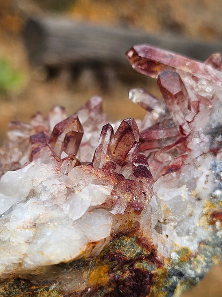 West Australian Quartz crystal cluster. XL118