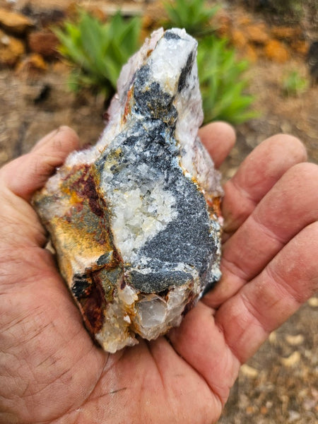 West Australian Quartz crystal cluster. XL118