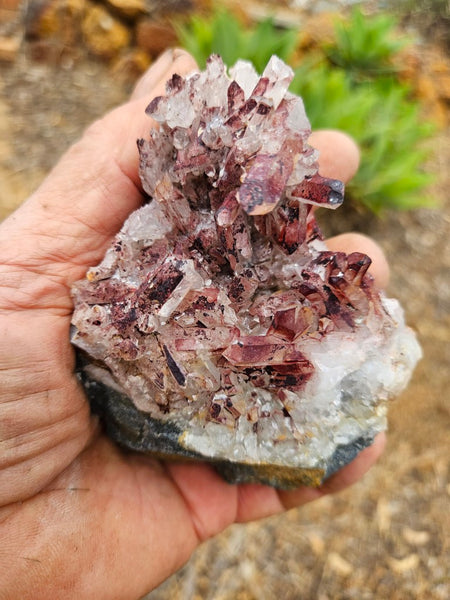 West Australian Quartz crystal cluster. XL118
