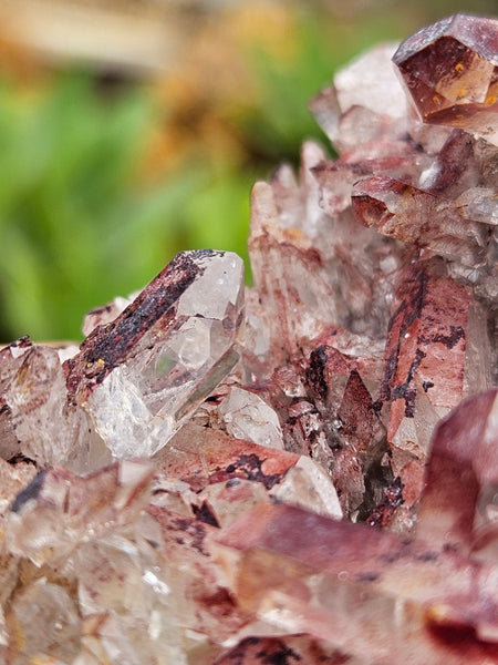 West Australian Quartz crystal cluster. XL118