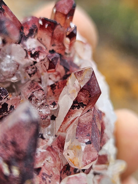 West Australian Quartz crystal cluster. XL118
