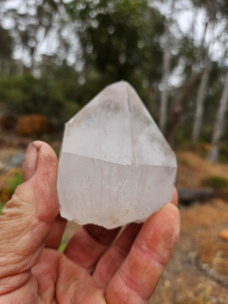 West Australian Quartz crystal . XL116