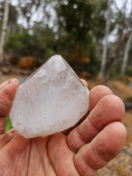 West Australian Quartz crystal . XL116