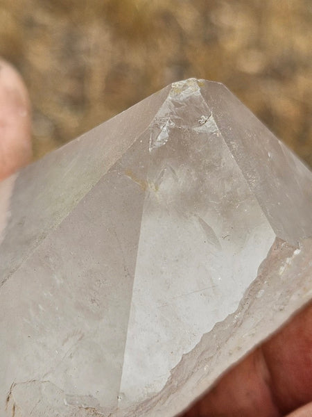 West Australian Quartz crystal . XL116