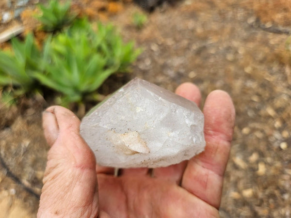 West Australian Quartz crystal . XL116