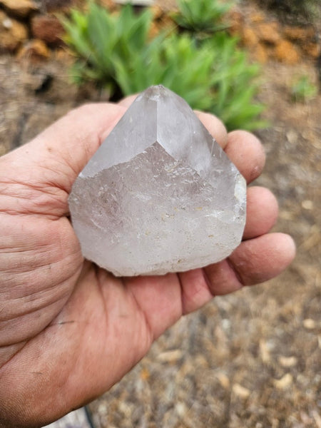 West Australian Quartz crystal . XL116