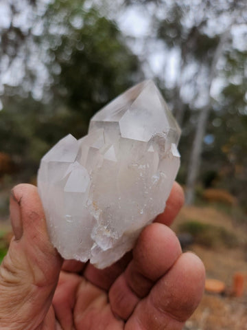 West Australian Quartz crystal . XL117