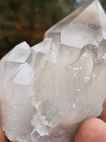 West Australian Quartz crystal . XL117