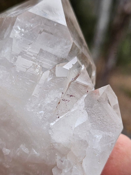 West Australian Quartz crystal . XL117