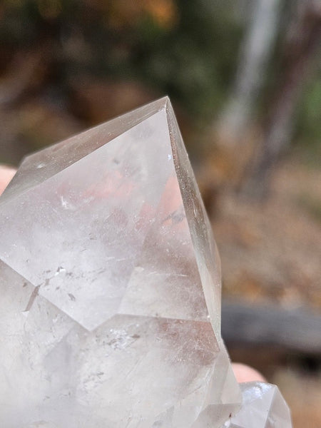 West Australian Quartz crystal . XL117