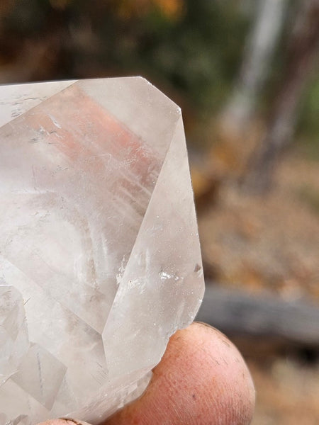 West Australian Quartz crystal . XL117