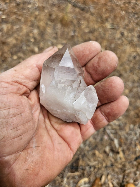 West Australian Quartz crystal . XL117