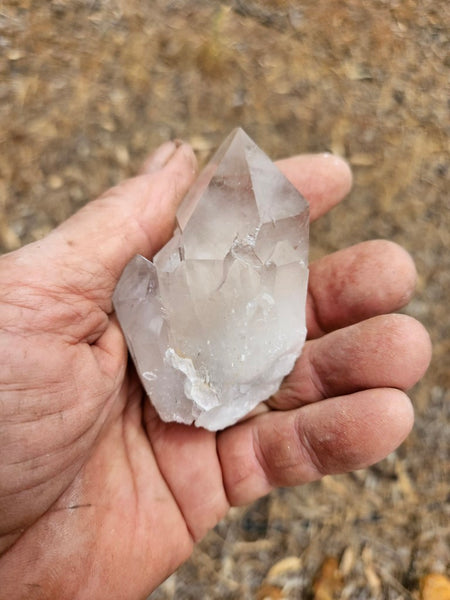 West Australian Quartz crystal . XL117