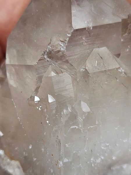 West Australian Quartz crystal . XL117