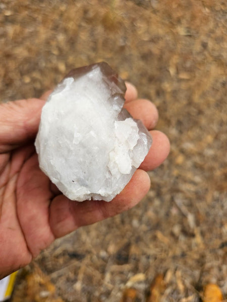 West Australian Quartz crystal . XL117