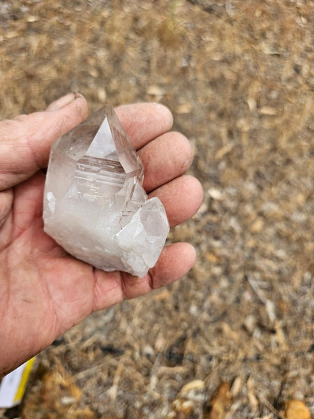 West Australian Quartz crystal . XL117