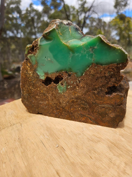 Polished  Chrysoprase  CH496