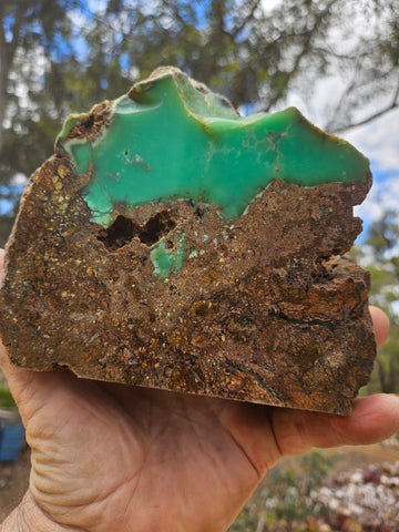 Polished  Chrysoprase  CH496