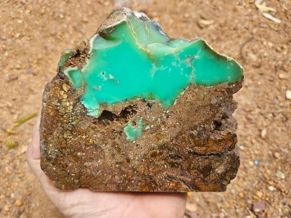 Polished  Chrysoprase  CH496